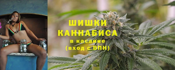 сатива Снежногорск
