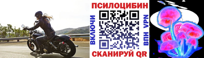 Купить где  Асино  Псилоцибиновые грибы Psilocybine cubensis 